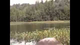 preview picture of video 'Broomstick Lake Hike - Adirondacks'