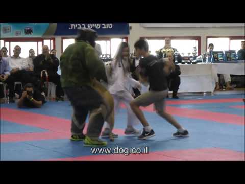 Wow Protection dog attack - must see