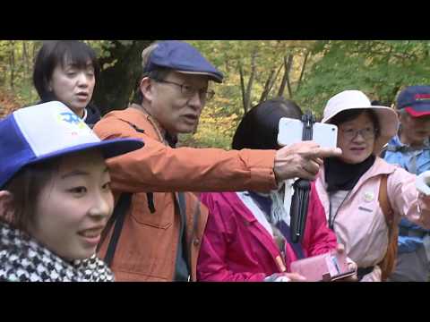 奥入瀬渓流マイカー交通規制・エコロードフェスタ