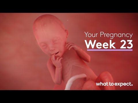 Mother-Baby developments this week (Week 23)
