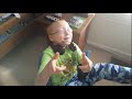 Epic Xbox One Freakout Part 2 Daddyofive Reuploads
