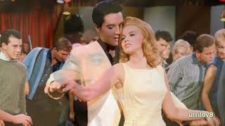 Elvis Presley   I Feel That I&#39;ve Known You Forever   Alternate Master  With Lyrics