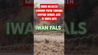 Download lagu IWAN FALS: 'KAMI KECEWA, RIMBA YANG DULU PERKASA KINI TINGGAL CERITA!' #iwanfals #short #lagulama mp3