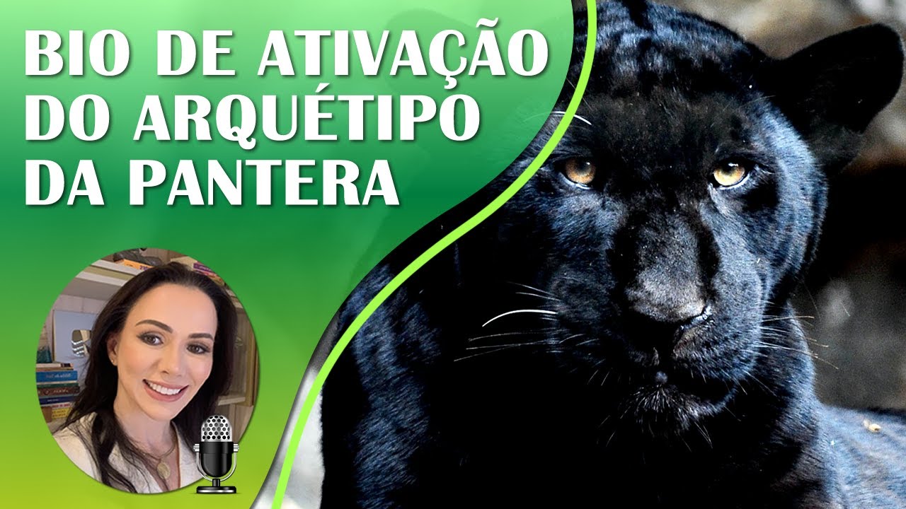 ARQUÉTIPO DA PANTERA NEGRA | Animal de Poder | Autoestima, Poder, Sedução e Magnetismo | 417Hz