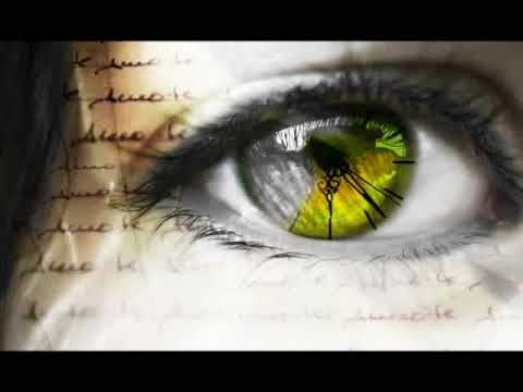 JelMoura’s Video 14833939920 sZ0AhJgSKoU