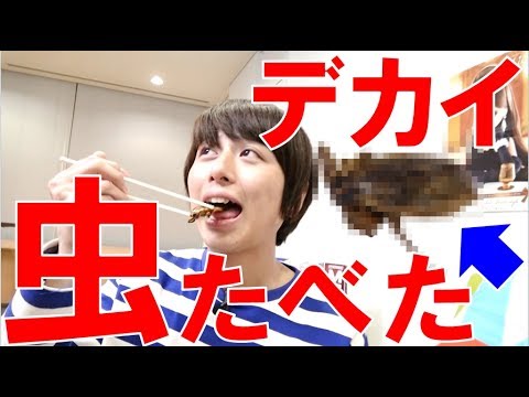 ※閲覧注意※タガメ食べたらあのフルーツの味だった！【毎日19時！立石学園】