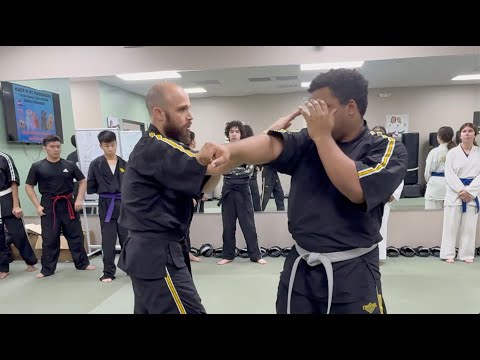 Snake Style Kung Fu – The Lethal Art of Hung Gar!