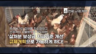 살처분 보상금 지급기준을 규제개혁으로 개선하다 | 2024 규제개혁 4