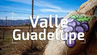 Valle de Guadalupe: Mexico's Wine Country