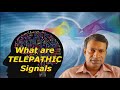 What Are TELEPATHIC Signals And How They Are Produced