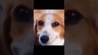 Claw Of GOAT The wake up guys wake🤣🗑