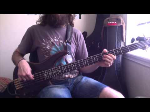 The Beards - All The Bearded Ladies (Bass Cover) [Pedro Zappa]