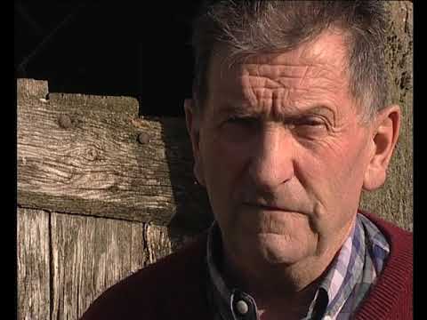 Jol pont de Mirabèl…