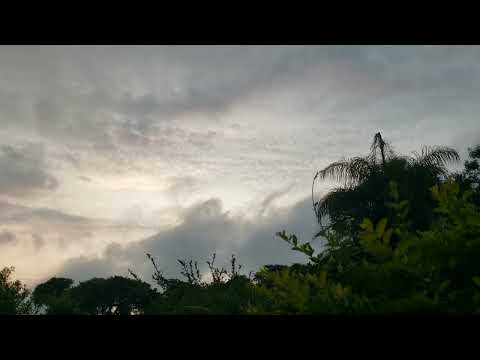 Charles Mingus Quintet, Boston (1977)