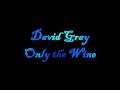 David Gray "Only the Wine"