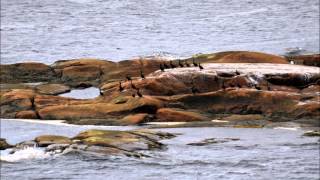 Natashquan / Blanc-Sablon 2015