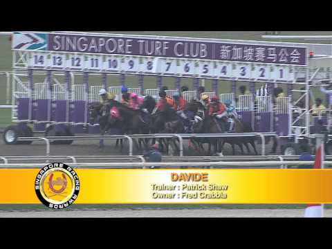 SRA 2013 (Champion Polytrack Horse - Davide)