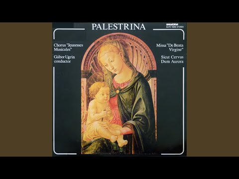 Dum aurora finem daret