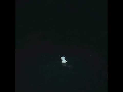YouTube 썸네일