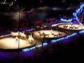 Circus Horses