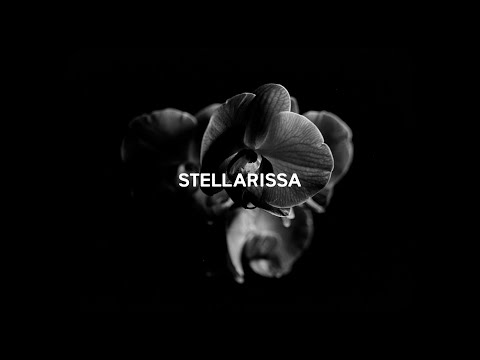 STELLARISSA <br> for Wynn (2022)