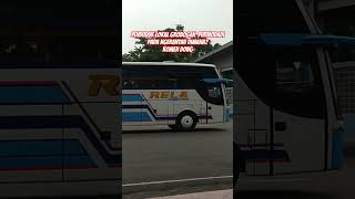 Download lagu PERANTAUAN ASLI PURWODADI PASTI GAK ASING SAMA BUS INI #rejekilancar #busrela #purwodadi #grobogan mp3