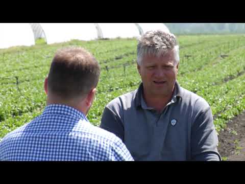 Reč struke ep. 250 14.05.2019. - Zelena salata