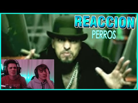 ARGENTINOS REACCIONAN A Cartel de Santa - Perros ((VIDEO))