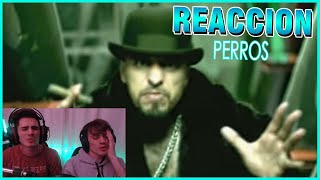 ARGENTINOS REACCIONAN A Cartel de Santa - Perros ((VIDEO))