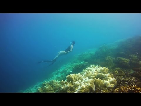 Harka Piloto, Calapan City