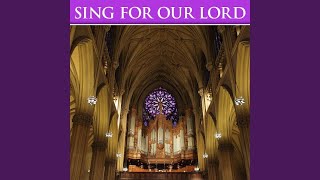 The Wonders You Perform