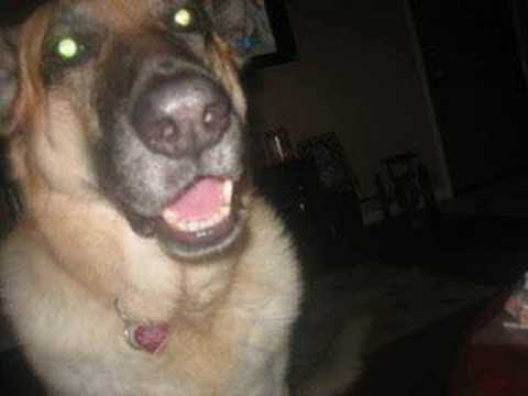 Rest in Peace Spanky Fassel