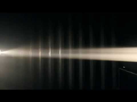 Plant43 - Cavernous Bones