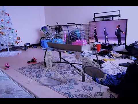 The Skeleton Warriors