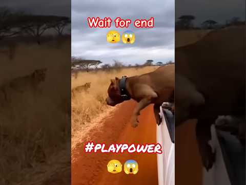 Reaction video part 40 🫣😱 #playpower