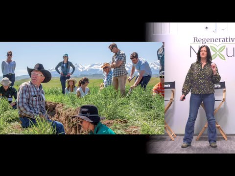 Cover Crop Soil Health: The Underground Revolution | Golden Age
