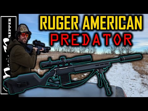 My "Budget" Long Range Rifle Project: Can It Get It Done?