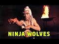 Wu Tang Collection Ninja Wolves