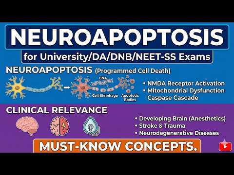 Neuroapoptosis for University/DA/DNB/NEET-SS Exams I Must-Know Concepts.