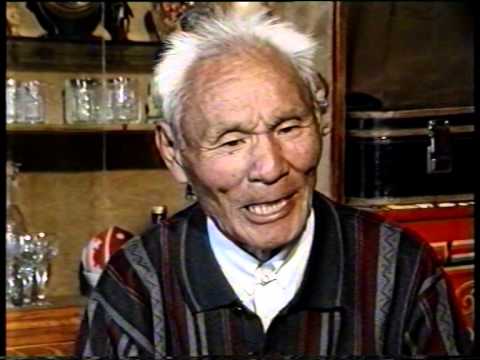 Засангийн буурал хурандаа