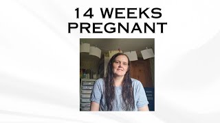 14 WEEK PREGNANCY UPDATE