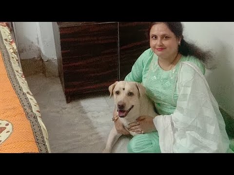 Zina ar mana khalar time vdo