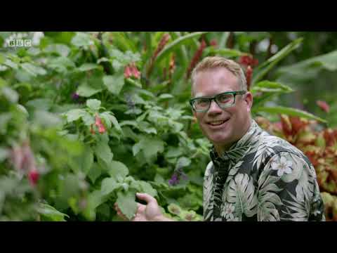 Gardeners' World 2019 E01