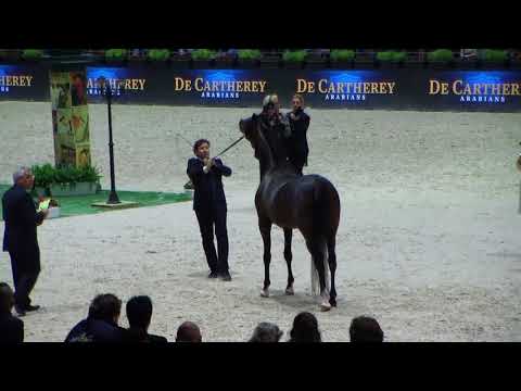 Memories of Paris 2017 - Part 3 - Wadee Al Shaqab