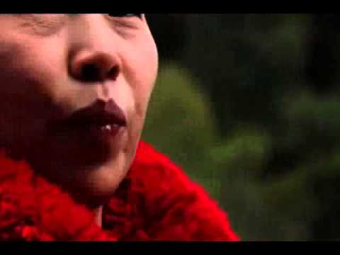 Chiangmai  Thailand Maejo 43  Hill tribe  sustainable natural coffee