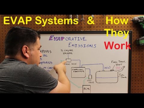 How EVAP Systems Work - Automotive Education
