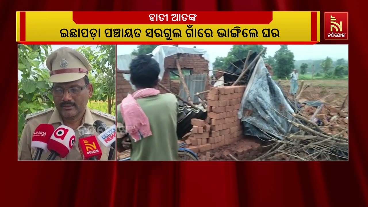 ବଲାଙ୍ଗିର ଜିଲ୍ଲା ମୁରିବାହାଲ ଅଞ୍ଚଳରେ ହାତୀ ଆତଙ୍କ ; ଇଛାପଡ