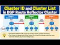 How Cluster ID & Cluster List Work in BGP Route Reflector Clusters? | #routingprotocols