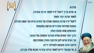 הלכות נטילת ידים - הלכה יומית מרן הראשון לציון הרב מרדכי אליהו זצוק"ל (הרב מרדכי אליהו זצ"ל) - התמונה מוצגת ישירות מתוך אתר האינטרנט יוטיוב. זכויות היוצרים בתמונה שייכות ליוצרה. קישור קרדיט למקור התוכן נמצא בתוך דף הסרטון הלכות נטילת ידים - הלכה יומית מרן הראשון לציון הרב מרדכי אליהו זצוק"ל (הרב מרדכי אליהו זצ"ל) - התמונה מוצגת ישירות מתוך אתר האינטרנט יוטיוב. זכויות היוצרים בתמונה שייכות ליוצרה. קישור קרדיט למקור התוכן נמצא בתוך דף הסרטון