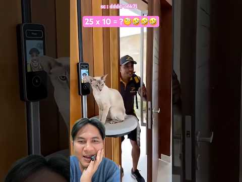 Kucing pintar bukain pintu